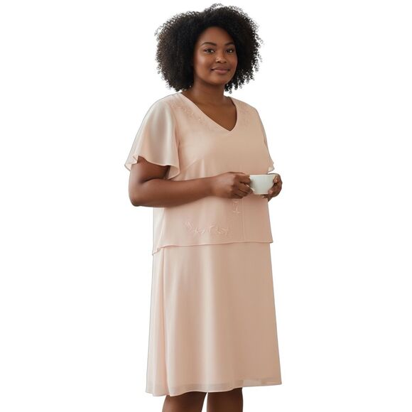 VTG Another Thyme Womens Blush Pink Embroidered Sheer Overlay Shift Dress Size 2 - Picture 1 of 7